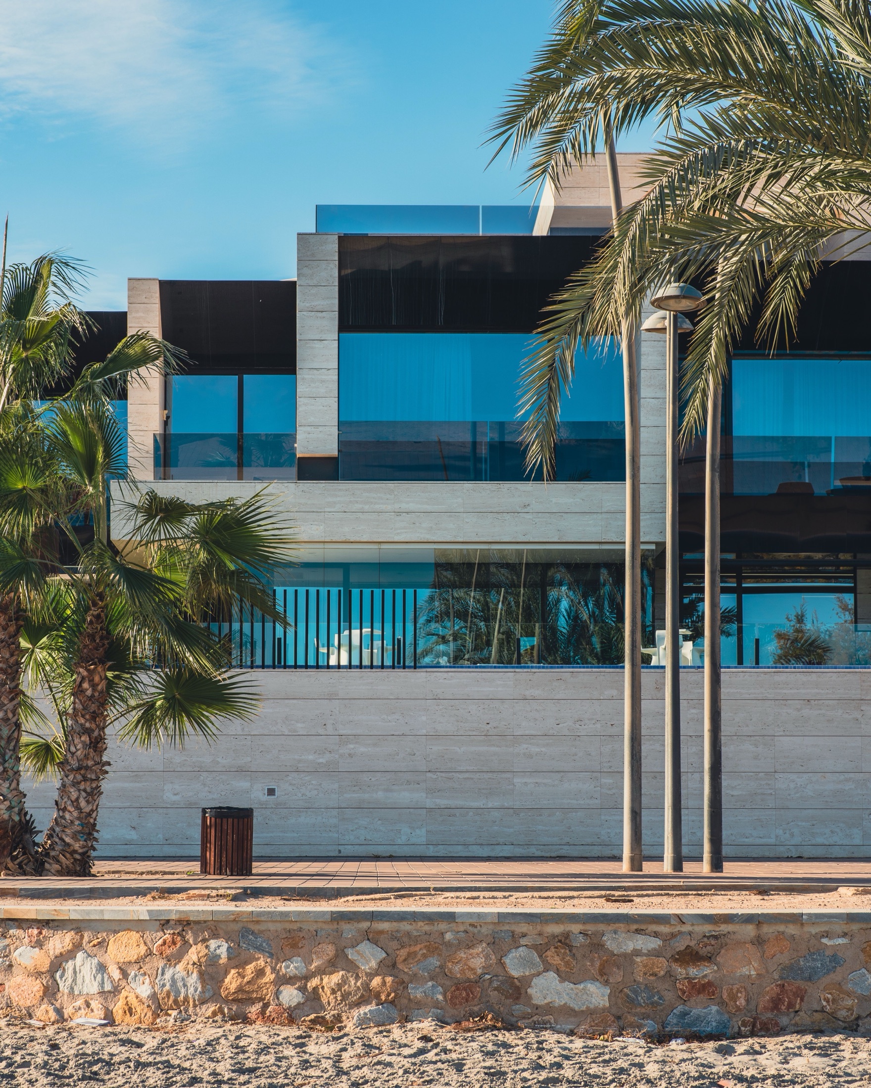 Modern villa exterior with palm trees